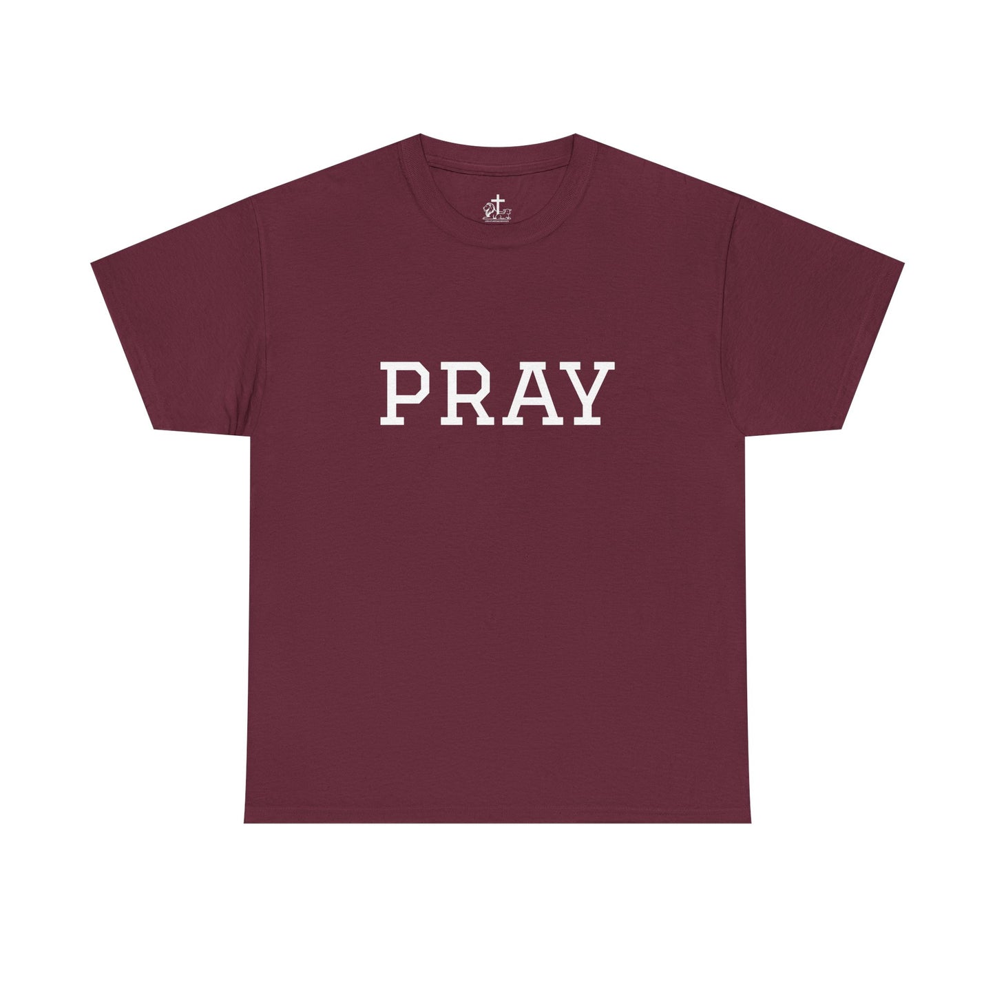 Christian Tee Faith-Based Gift for Unisex, Heavy Cotton T-Shirt, Religious Shirt, Inspirational Clothing, Christian Apparel, Christian Gift
