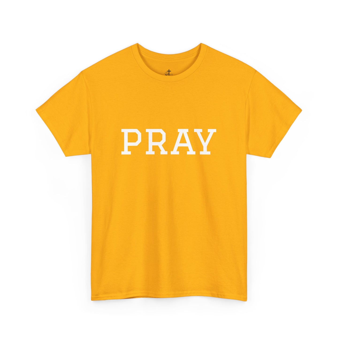 Christian Tee Faith-Based Gift for Unisex, Heavy Cotton T-Shirt, Religious Shirt, Inspirational Clothing, Christian Apparel, Christian Gift