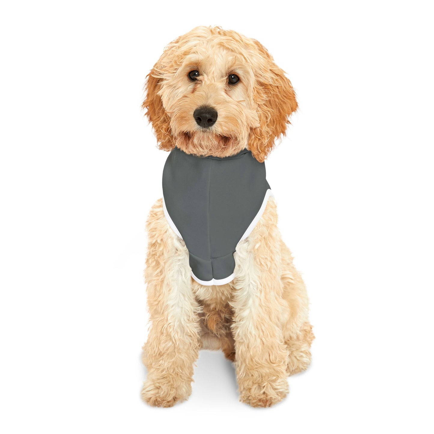 Happy Birthday Pet Hoodie for Dogs, Cozy Dog Sweater, Custom Dog Apparel, Pet Birthday Gift, Cute Dog Hoodie