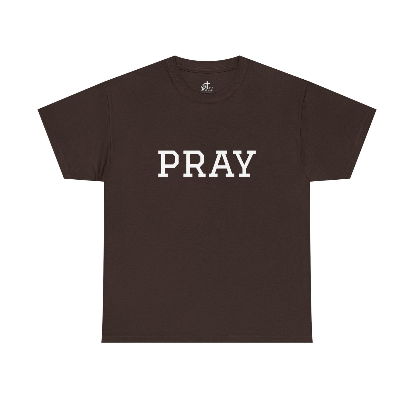 Christian Tee Faith-Based Gift for Unisex, Heavy Cotton T-Shirt, Religious Shirt, Inspirational Clothing, Christian Apparel, Christian Gift