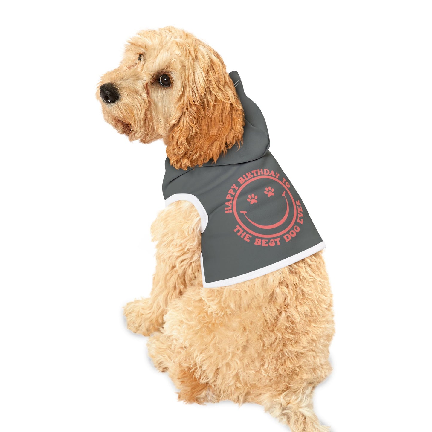 Happy Birthday Pet Hoodie for Dogs, Cozy Dog Sweater, Custom Dog Apparel, Pet Birthday Gift, Cute Dog Hoodie