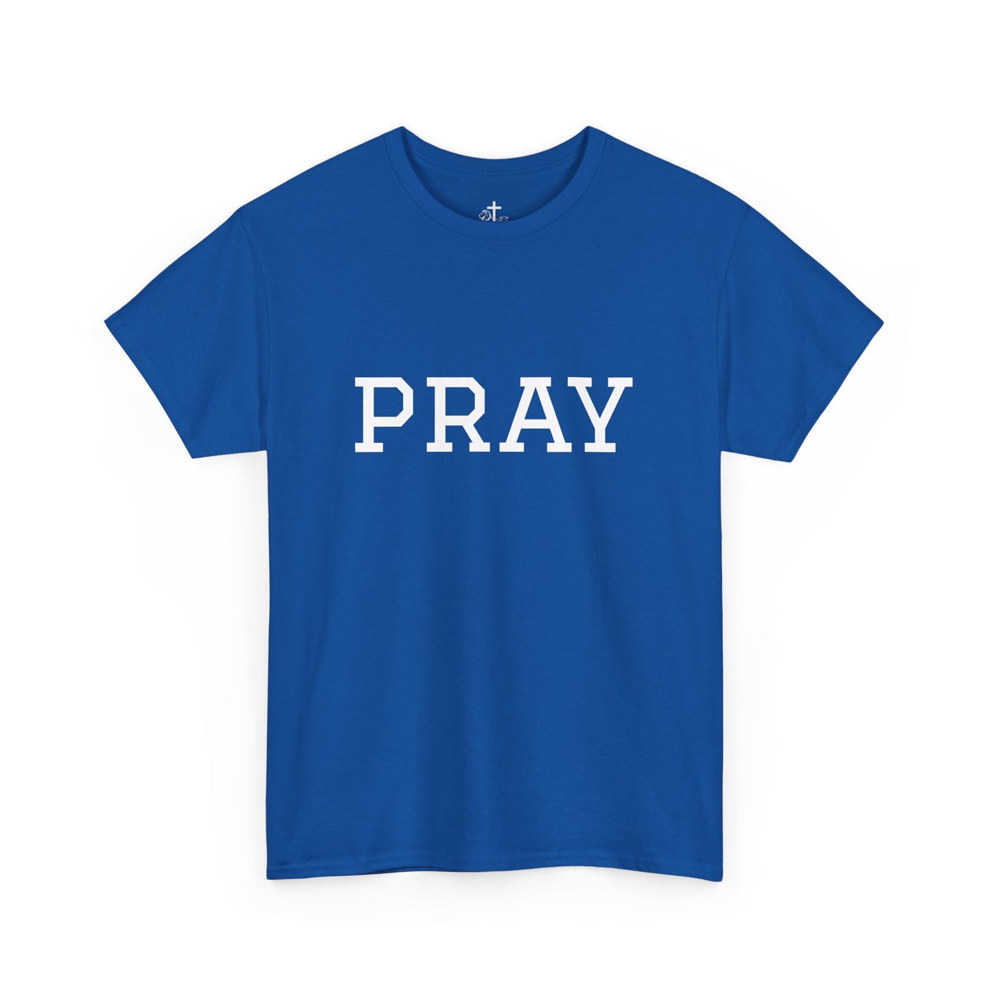 Christian Tee Faith-Based Gift for Unisex, Heavy Cotton T-Shirt, Religious Shirt, Inspirational Clothing, Christian Apparel, Christian Gift