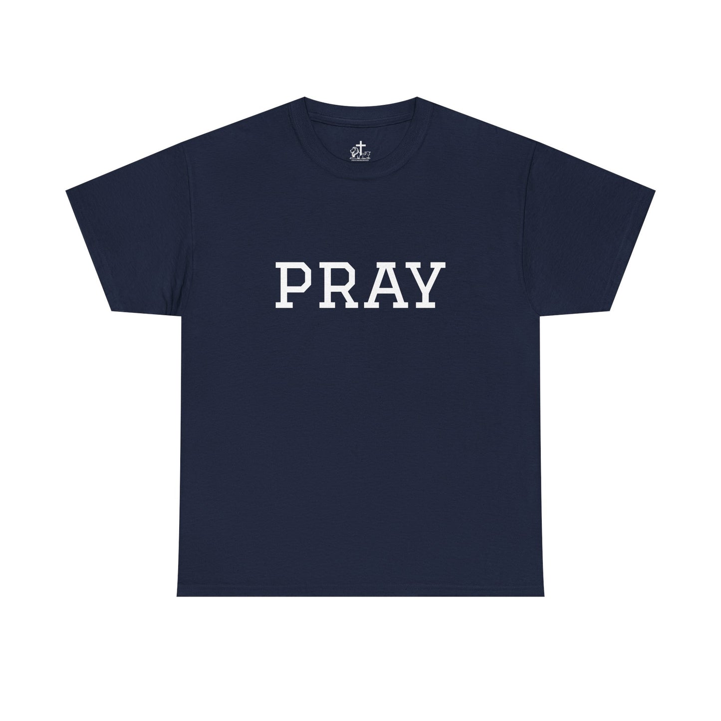 Christian Tee Faith-Based Gift for Unisex, Heavy Cotton T-Shirt, Religious Shirt, Inspirational Clothing, Christian Apparel, Christian Gift