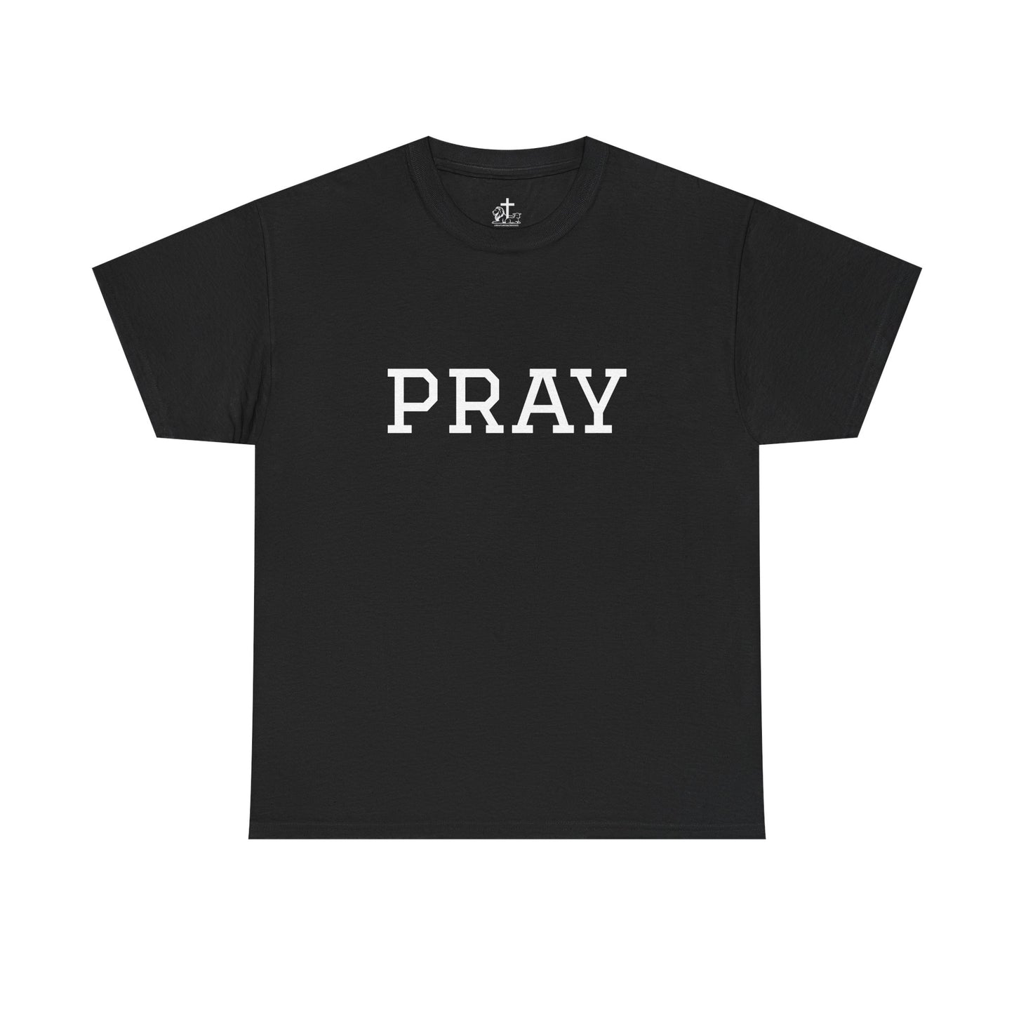 Christian Tee Faith-Based Gift for Unisex, Heavy Cotton T-Shirt, Religious Shirt, Inspirational Clothing, Christian Apparel, Christian Gift