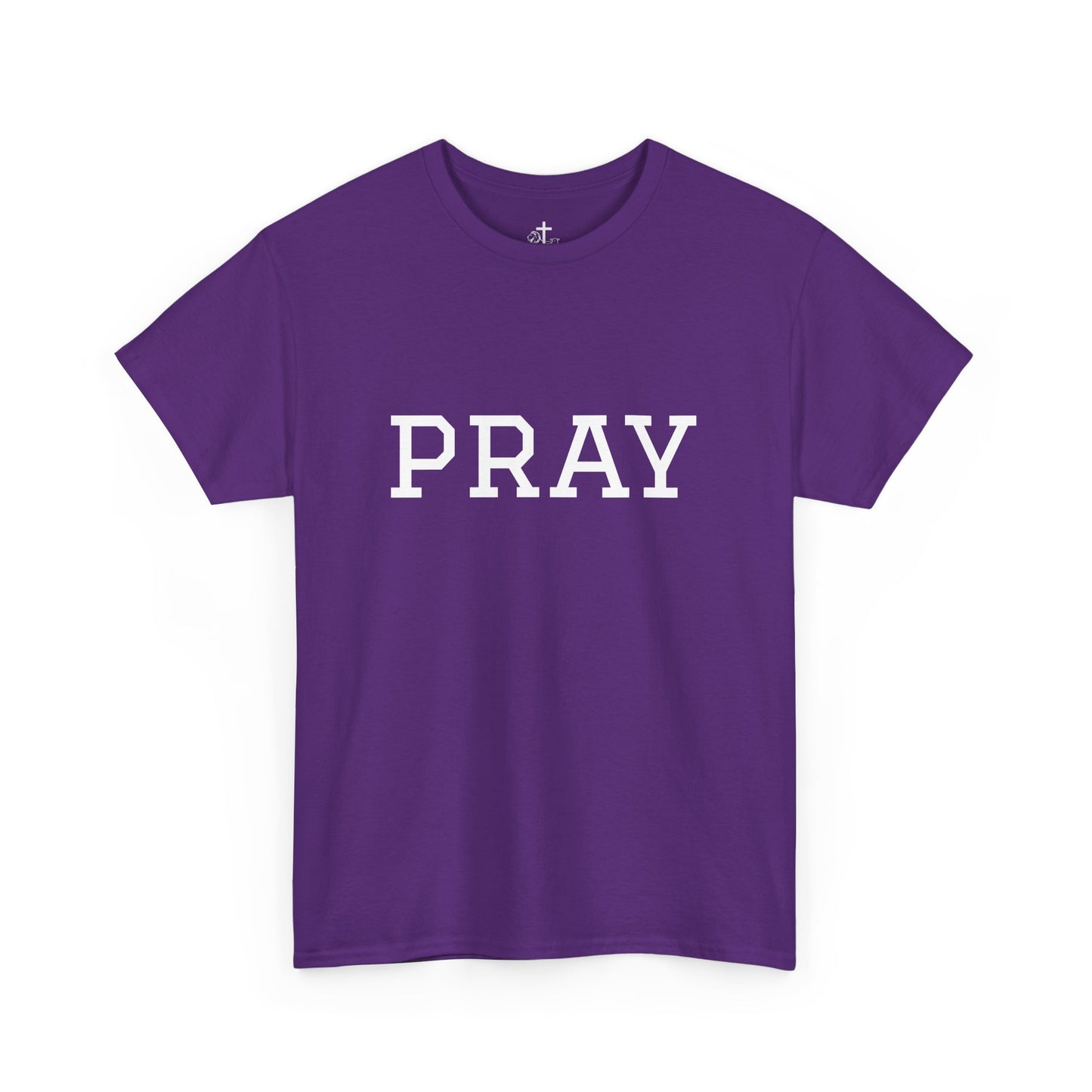 Christian Tee Faith-Based Gift for Unisex, Heavy Cotton T-Shirt, Religious Shirt, Inspirational Clothing, Christian Apparel, Christian Gift