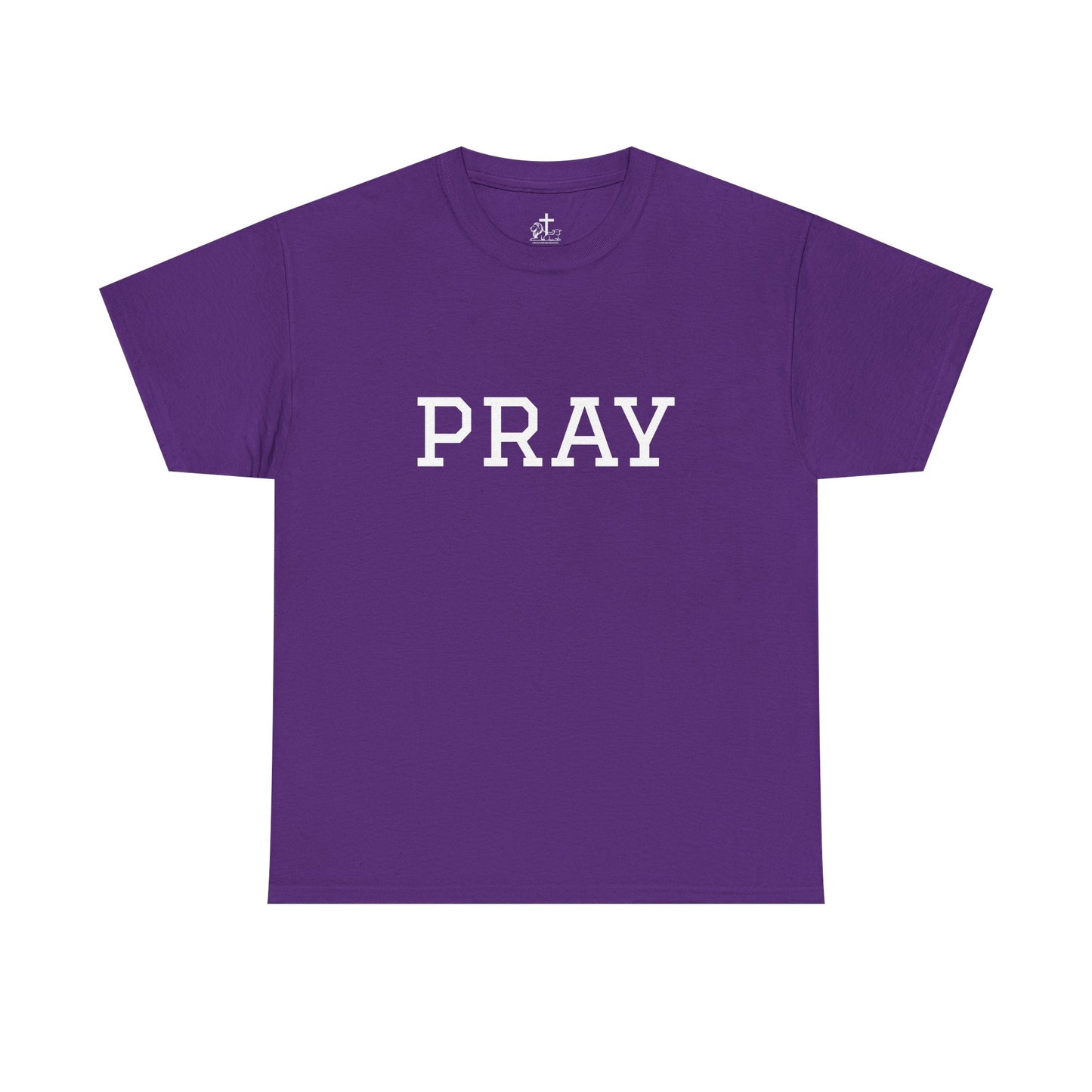 Christian Tee Faith-Based Gift for Unisex, Heavy Cotton T-Shirt, Religious Shirt, Inspirational Clothing, Christian Apparel, Christian Gift