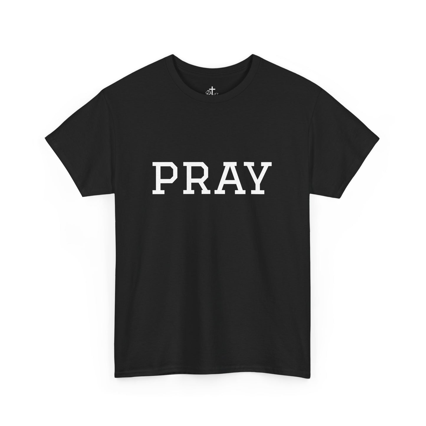 Christian Tee Faith-Based Gift for Unisex, Heavy Cotton T-Shirt, Religious Shirt, Inspirational Clothing, Christian Apparel, Christian Gift