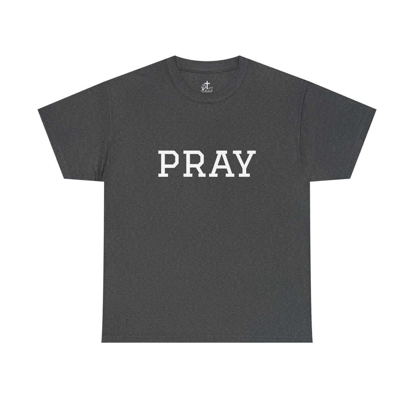 Christian Tee Faith-Based Gift for Unisex, Heavy Cotton T-Shirt, Religious Shirt, Inspirational Clothing, Christian Apparel, Christian Gift