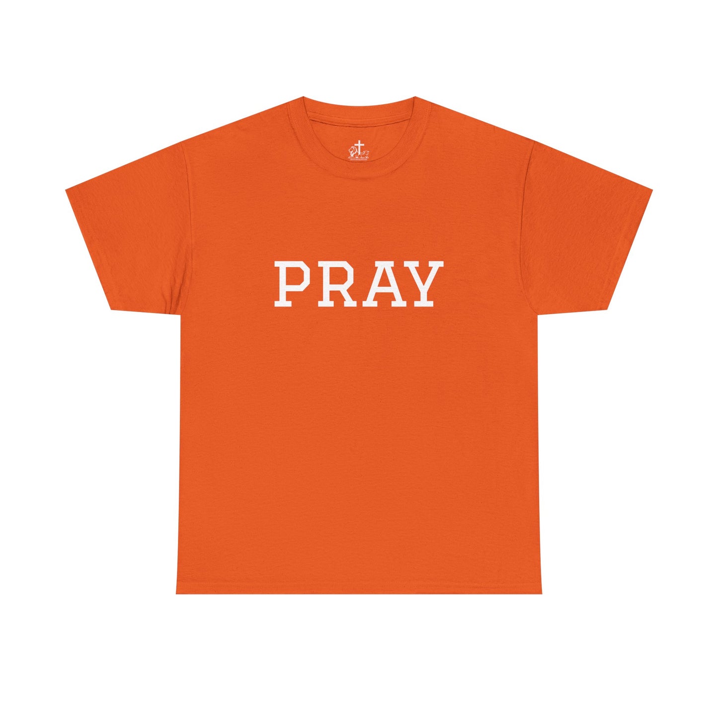 Christian Tee Faith-Based Gift for Unisex, Heavy Cotton T-Shirt, Religious Shirt, Inspirational Clothing, Christian Apparel, Christian Gift