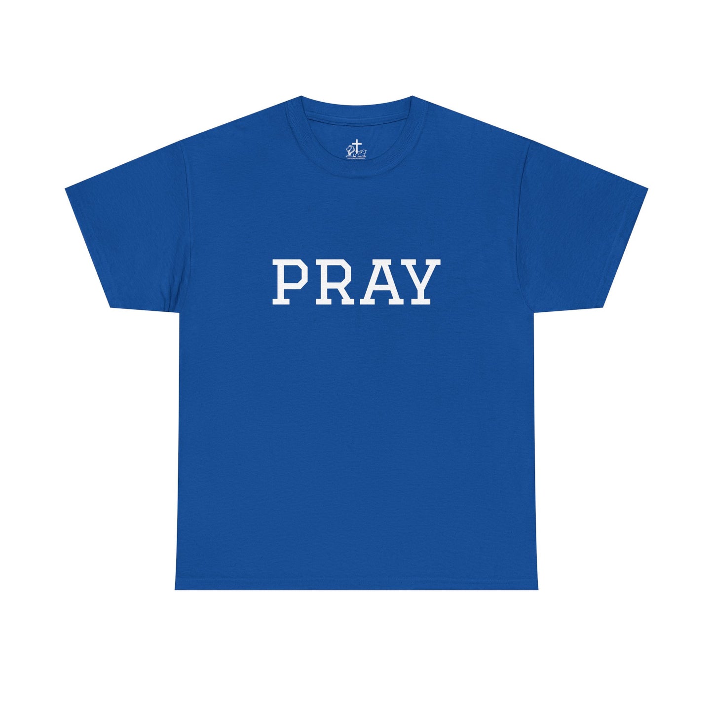 Christian Tee Faith-Based Gift for Unisex, Heavy Cotton T-Shirt, Religious Shirt, Inspirational Clothing, Christian Apparel, Christian Gift