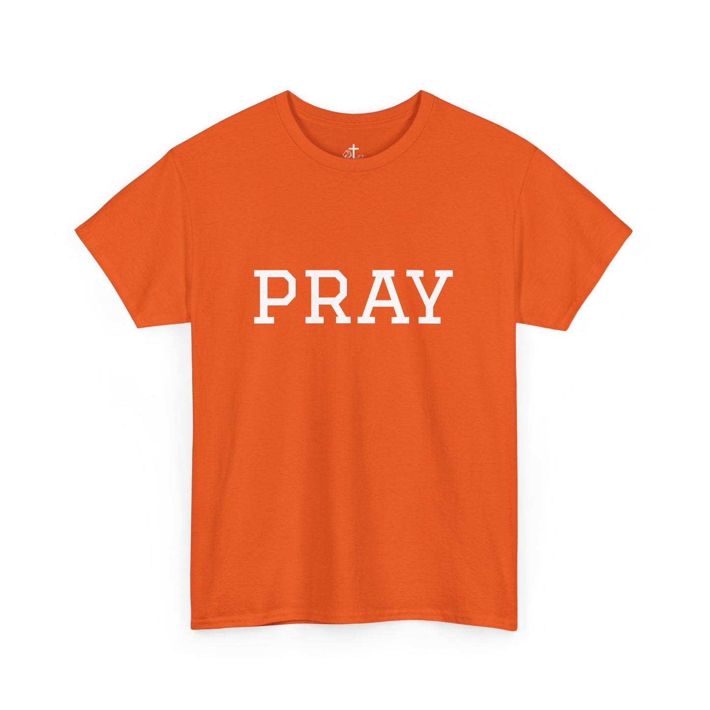 Christian Tee Faith-Based Gift for Unisex, Heavy Cotton T-Shirt, Religious Shirt, Inspirational Clothing, Christian Apparel, Christian Gift