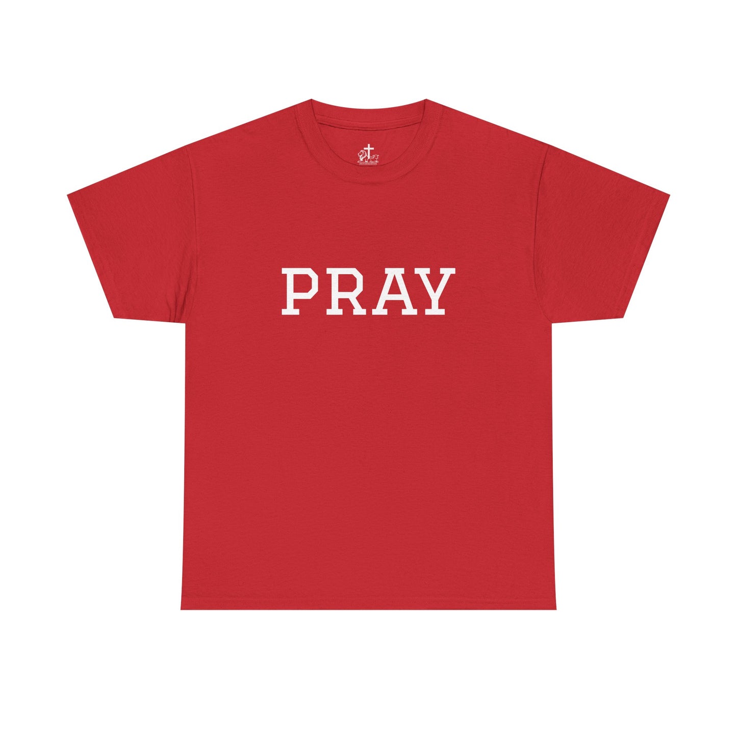 Christian Tee Faith-Based Gift for Unisex, Heavy Cotton T-Shirt, Religious Shirt, Inspirational Clothing, Christian Apparel, Christian Gift